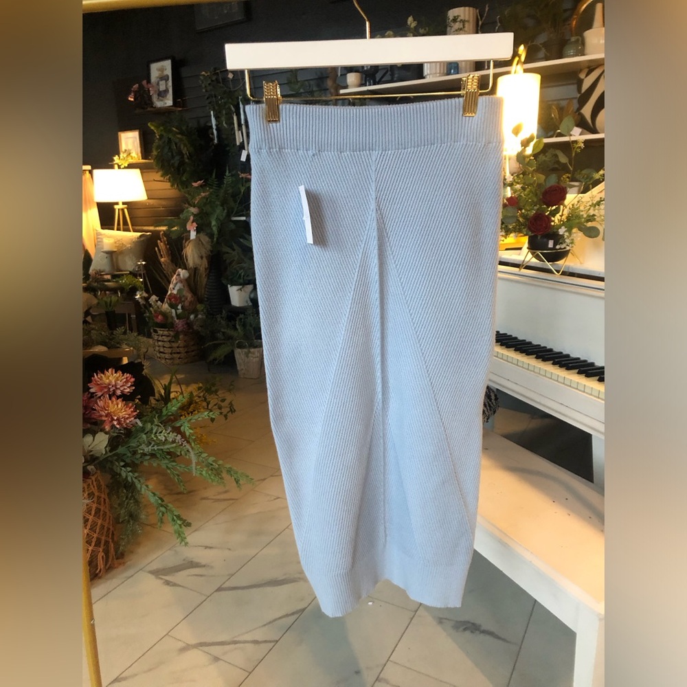 Elegant Blue Knit Women's Skirt